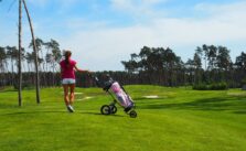 Best push carts for golf