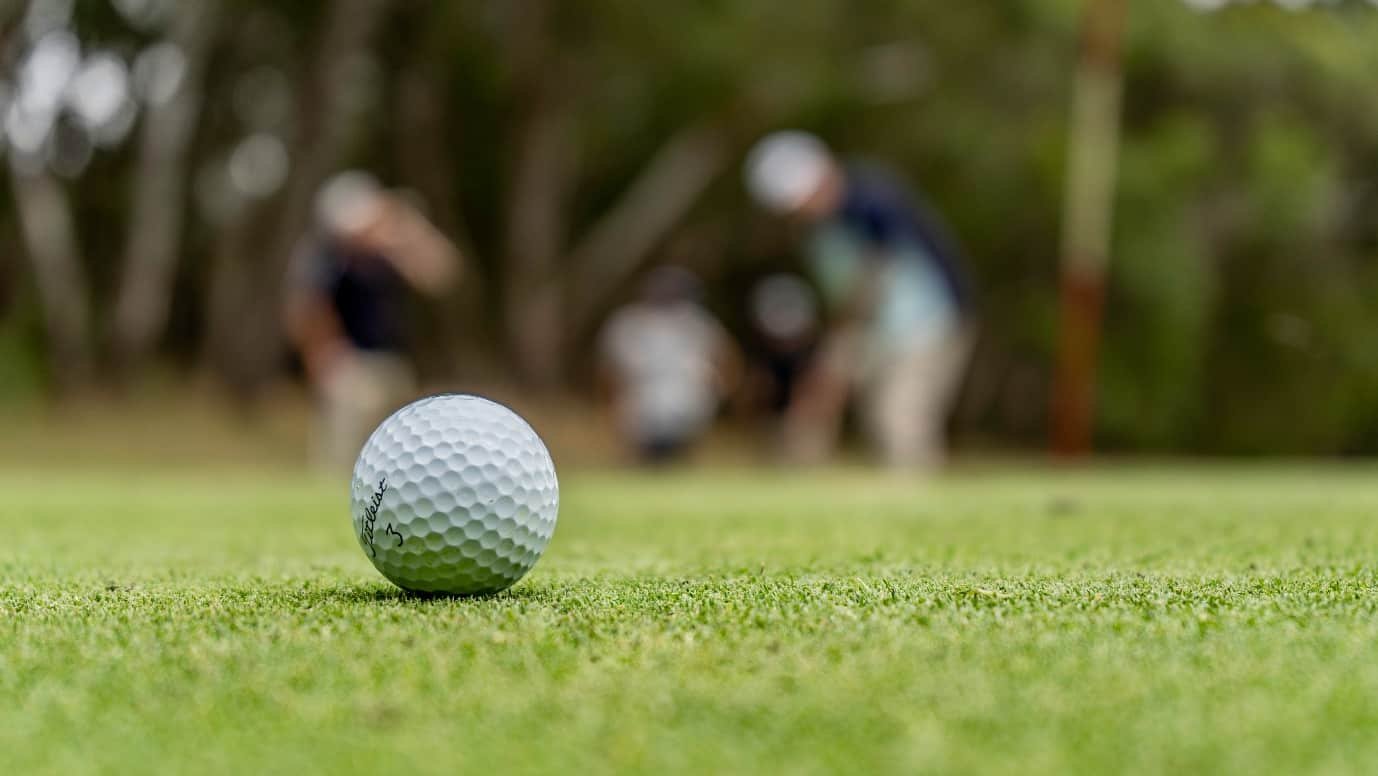 Kirkland Signature Golf Balls Review (2022) Golf Guy