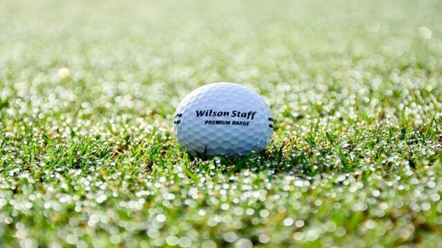 Best Wilson Golf Balls