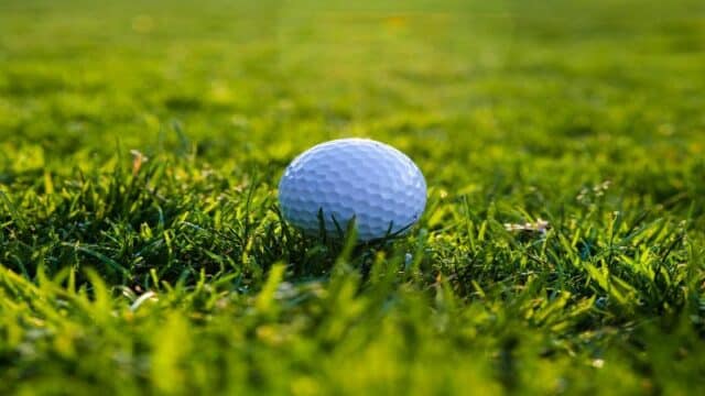 Srixon Q-Star Tour Divide Golf Balls Review