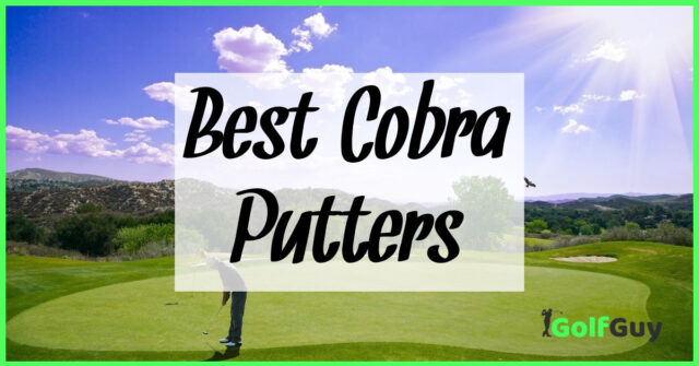 Best Cobra Putters